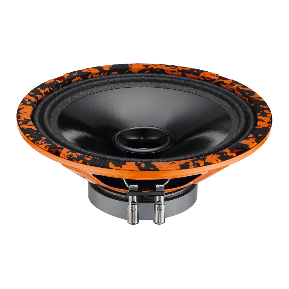 Dl Audio Gryphon Lite 200