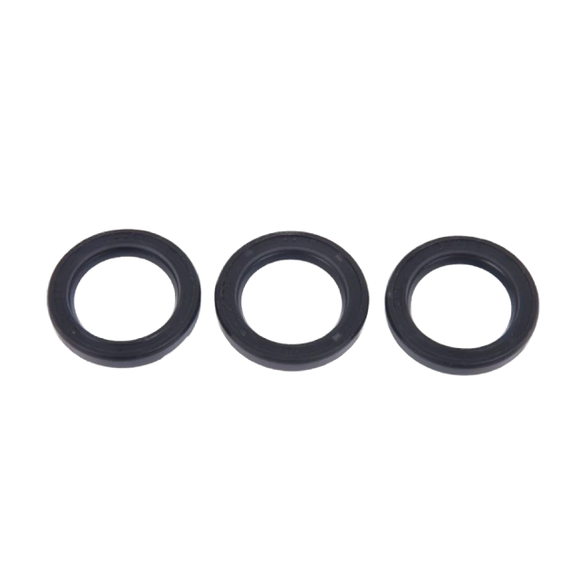 KIT 2 �������� ��������� ���������� Interpump Group