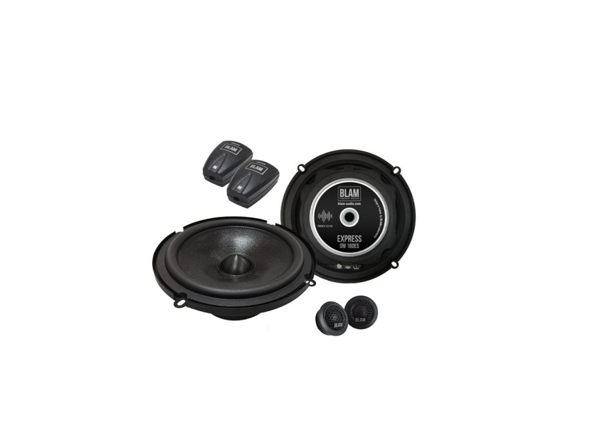 BLAM OM160 ES20 акустика
