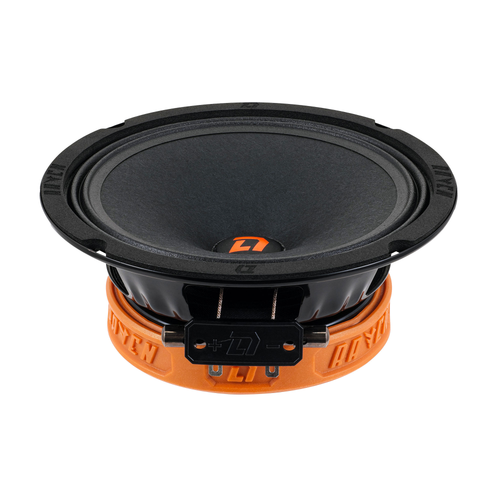 Dl Audio Raven 165