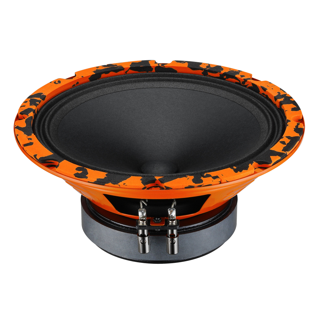 DL AUDIO Gryphon Pro 200