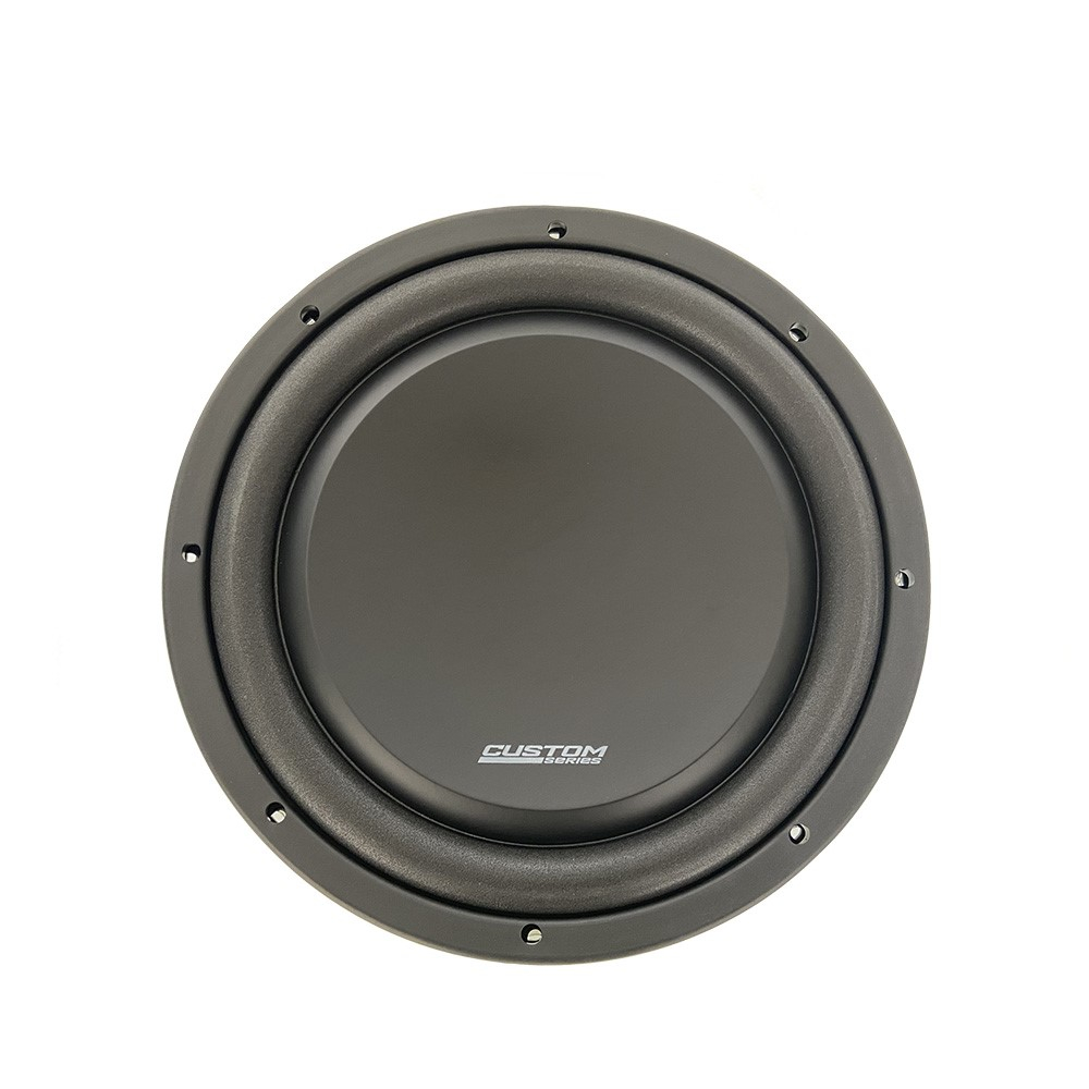 ��������� �������� Dynamic State CUSTOM CSW-S25 10