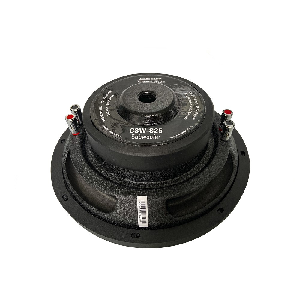 ��������� �������� Dynamic State CUSTOM CSW-S25 10D2