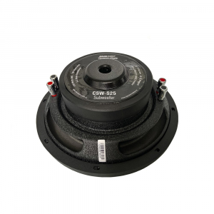 ��������� �������� Dynamic State CUSTOM CSW-S25 10D2