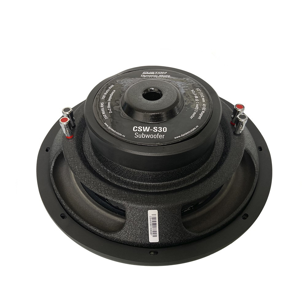 ��������� �������� Dynamic State CUSTOM CSW-S30