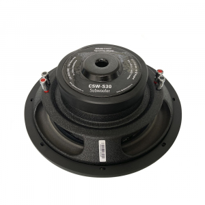 ��������� �������� Dynamic State CUSTOM CSW-S30